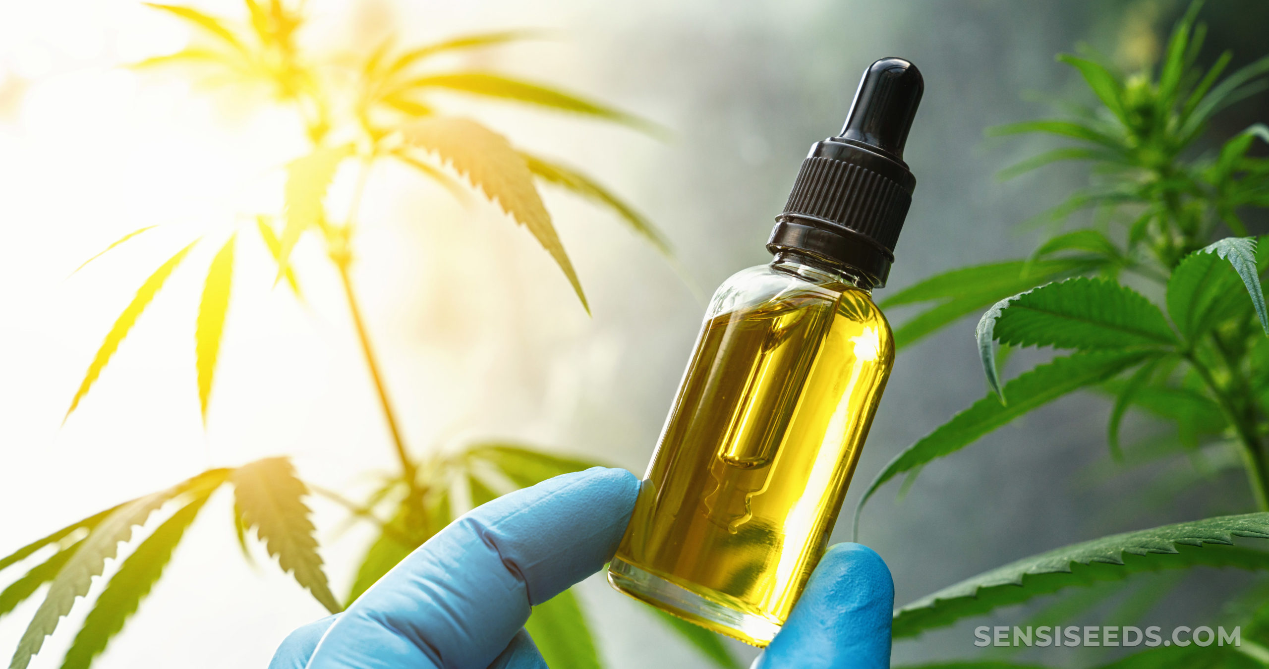 CBD Oil For Migraines